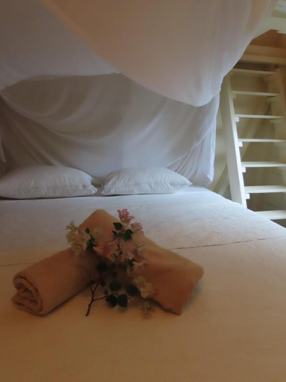 Akunamatata Guest House クルドサック エクステリア 写真